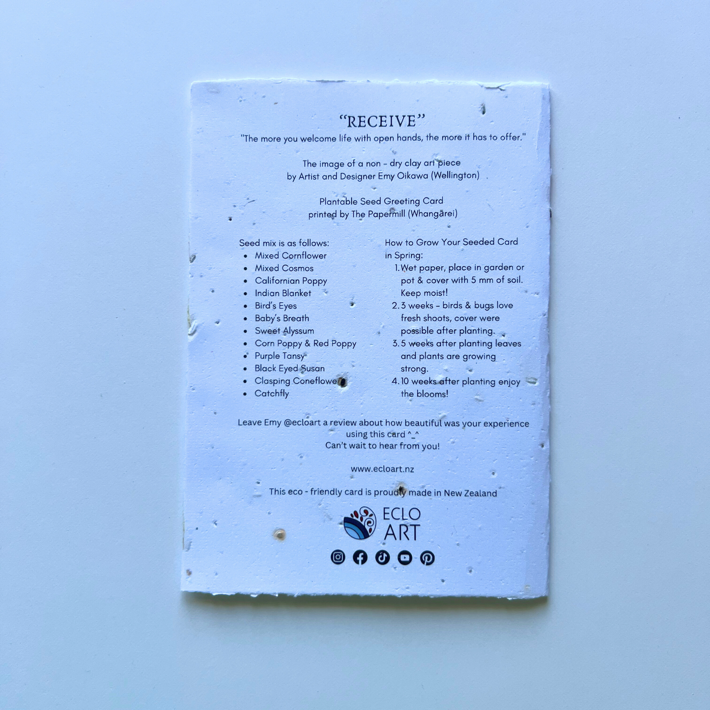 Receive - Seed of Connection Plantable Greeting Card