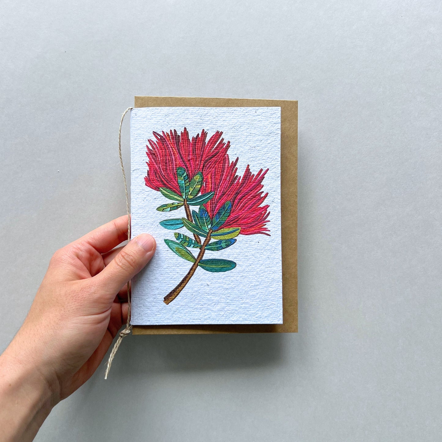 The Pohutukawa Flower Plantable and Reusable Greeting Card