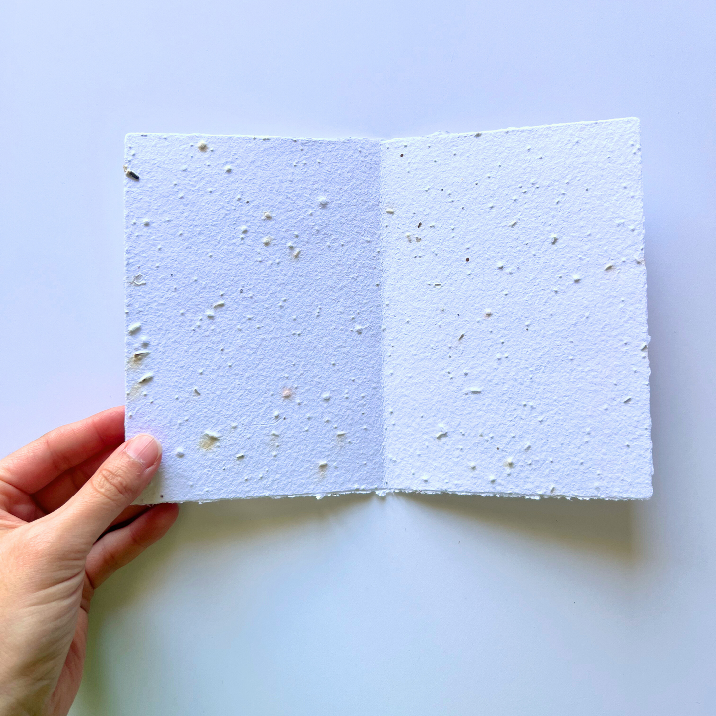 Growth - Seed of Connection Plantable Greeting Card