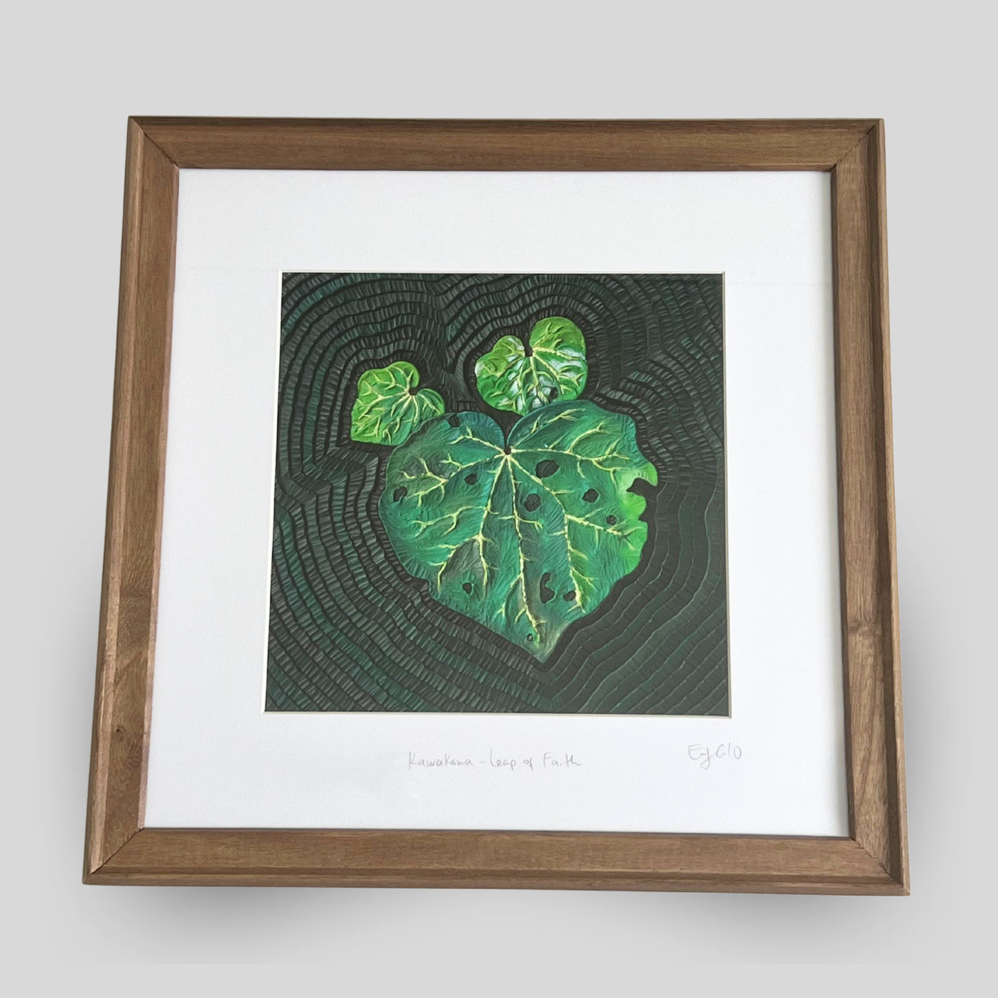 Kawakawa - Leap of Faith Framed