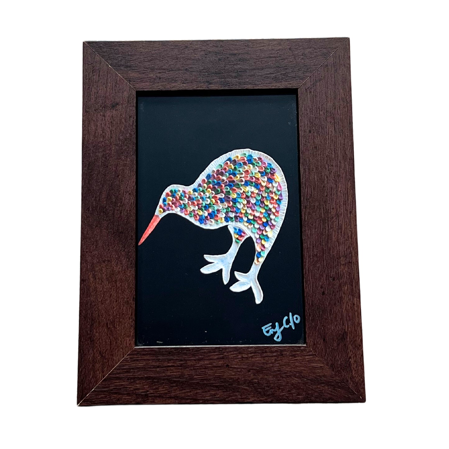 Kiwi Bird Framed Print
