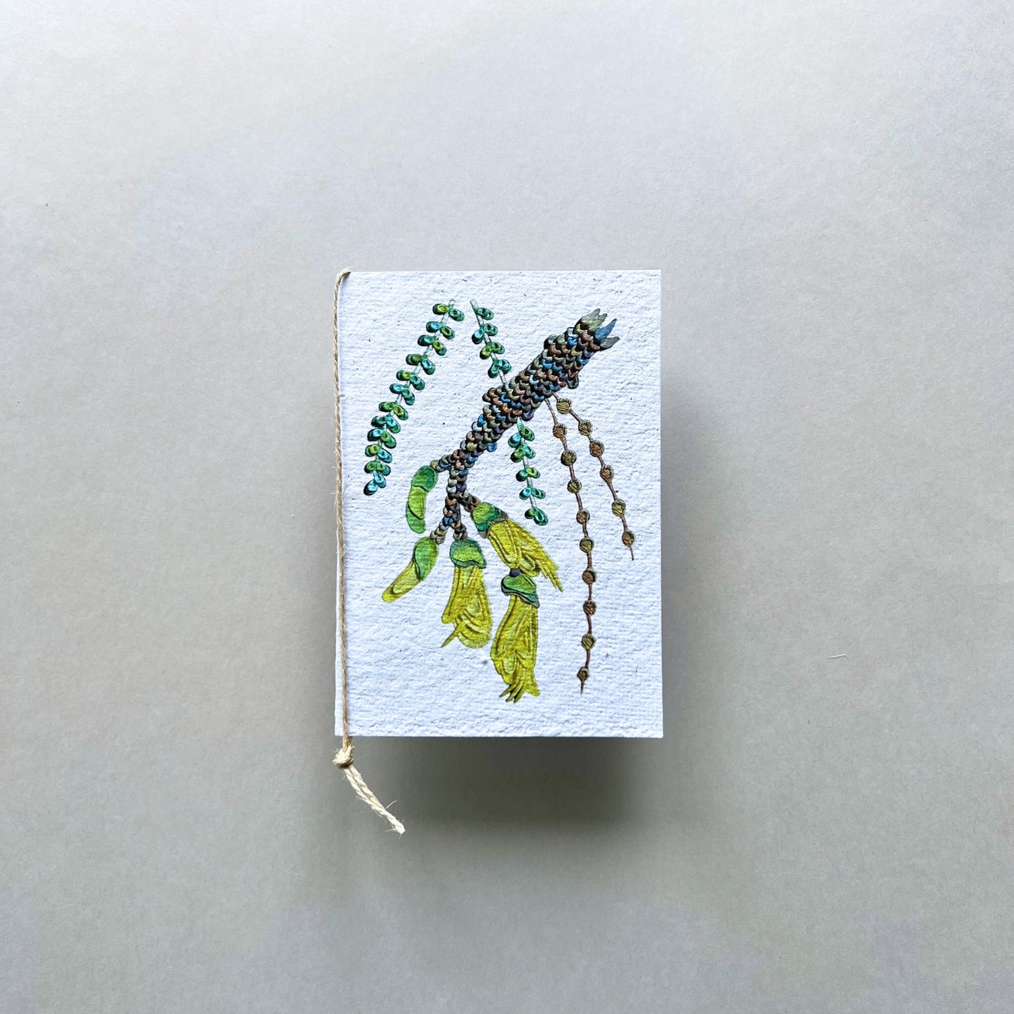 Kowhai Flower Plantable and Reusable Greeting Card