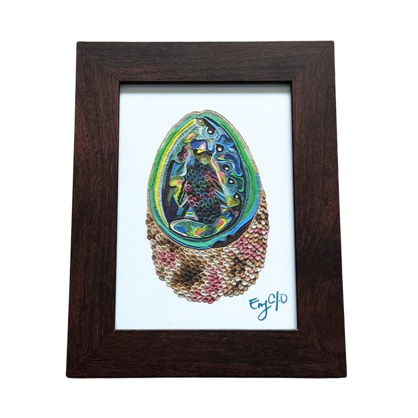Paua Shell Small Framed Print