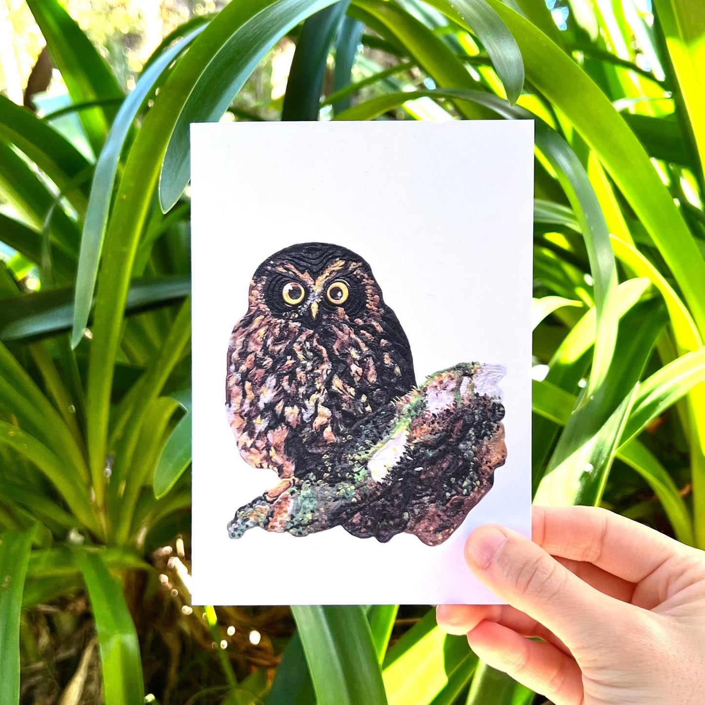 Ruru Bird Reusable Greeting Card