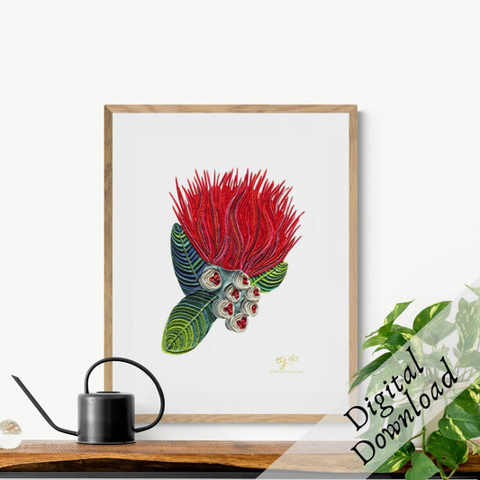 Pohutukawa Flower – Downloadable Print