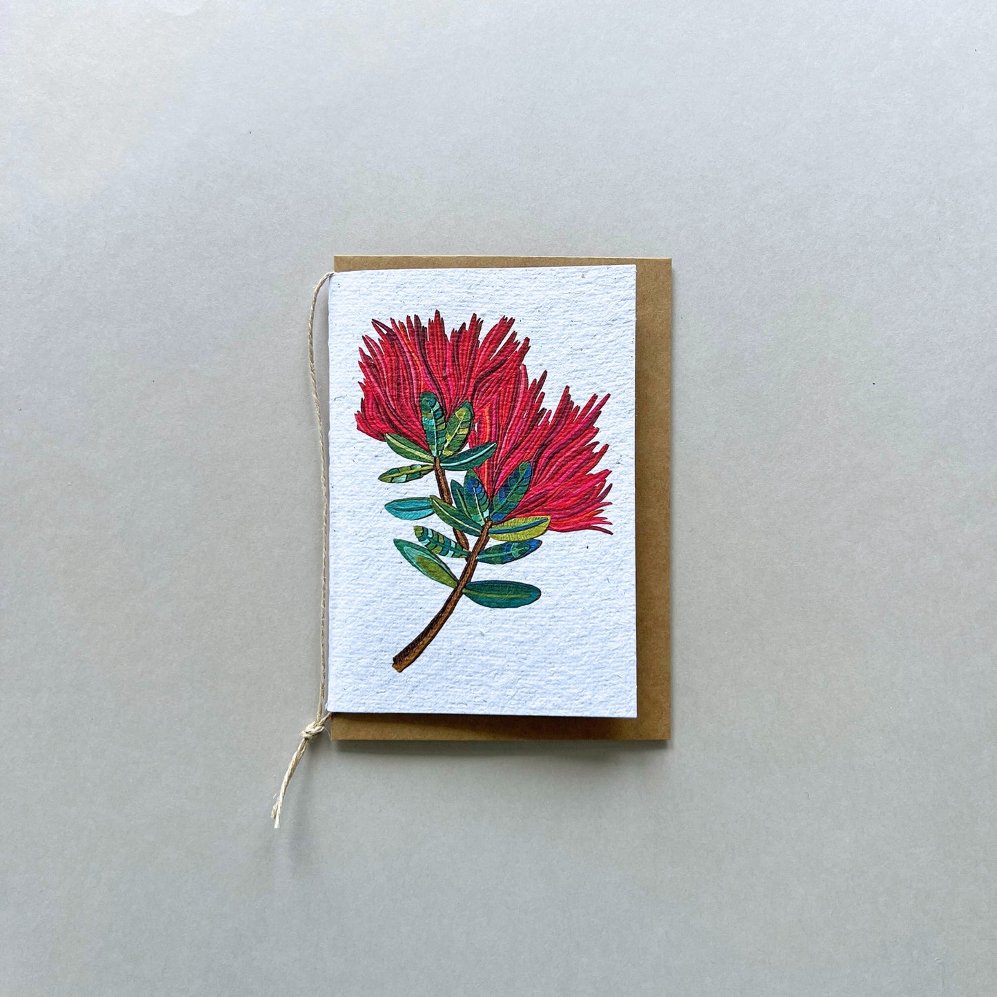 The Pohutukawa Flower Plantable and Reusable Greeting Card