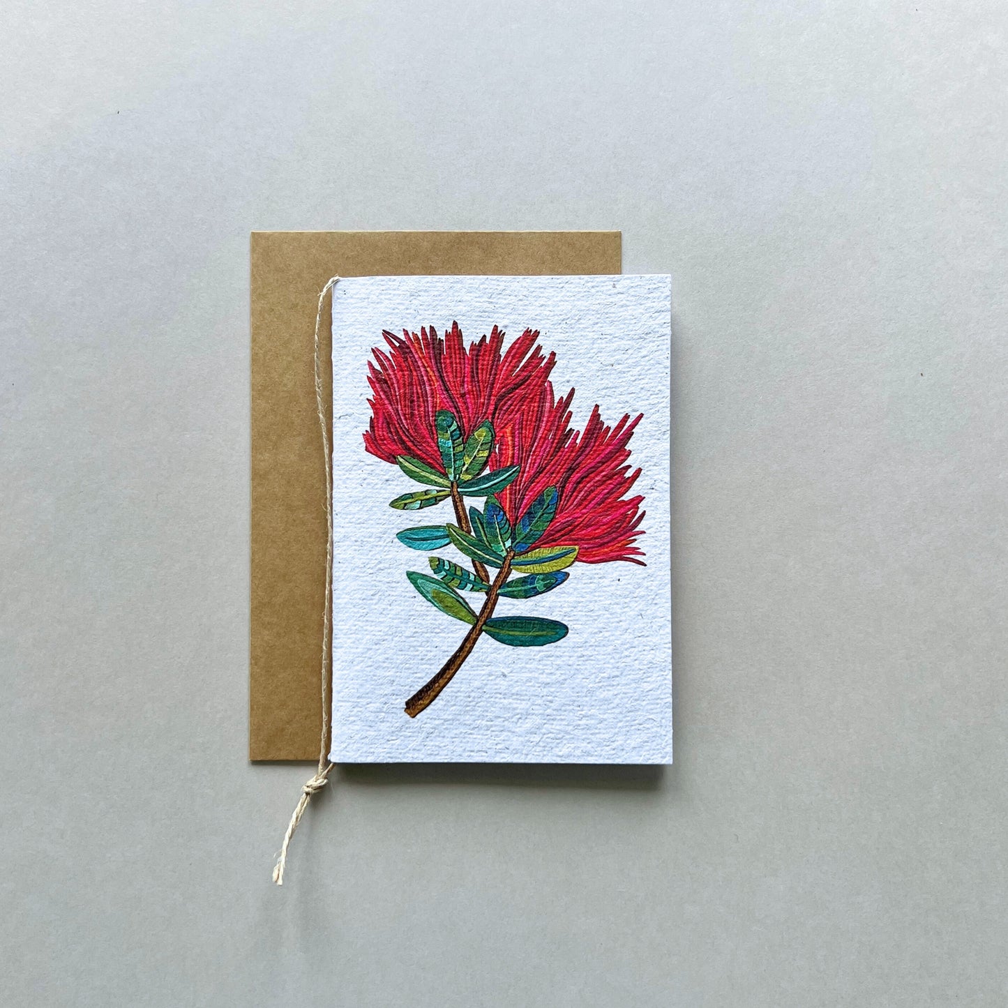 The Pohutukawa Flower Plantable and Reusable Greeting Card