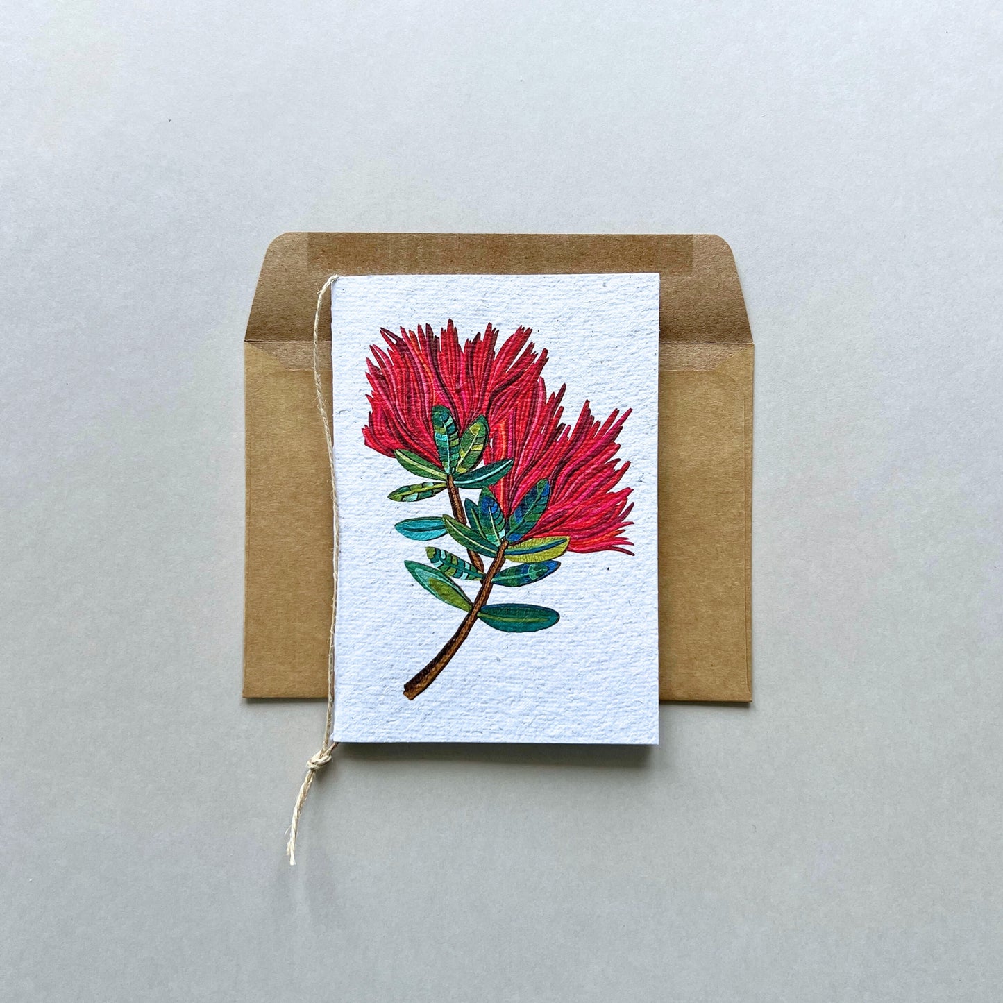 The Pohutukawa Flower Plantable and Reusable Greeting Card
