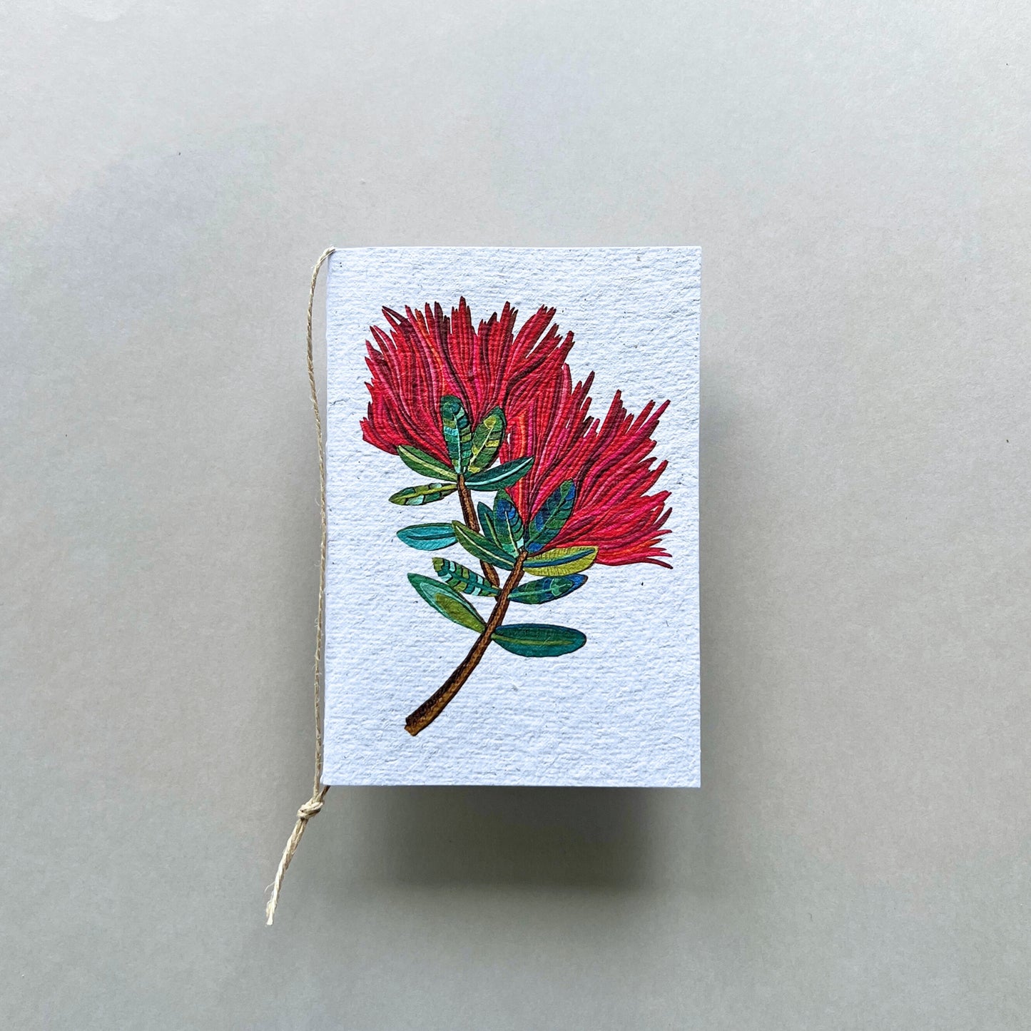 The Pohutukawa Flower Plantable and Reusable Greeting Card