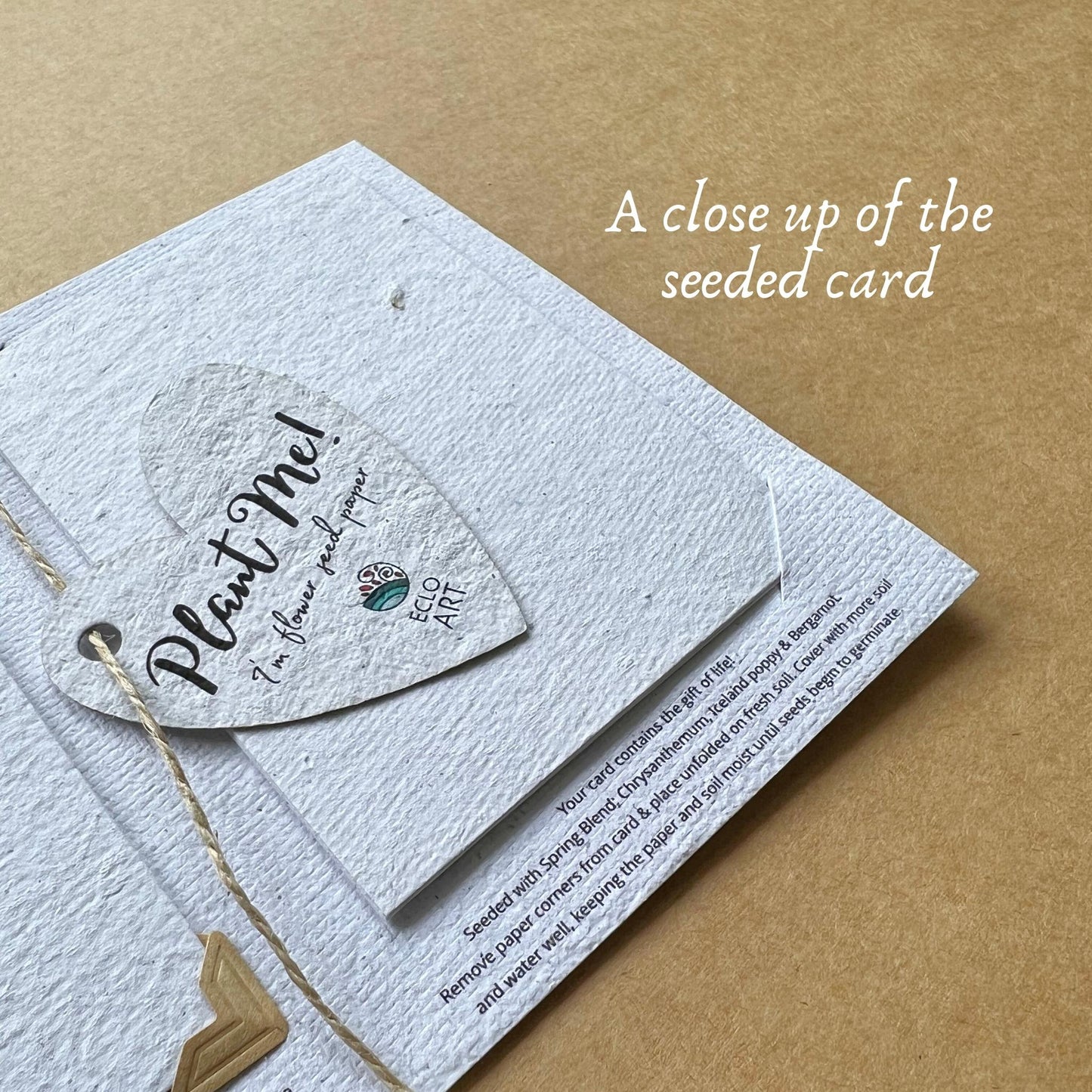 Tui Bird Plantable and Reusable Greeting Card