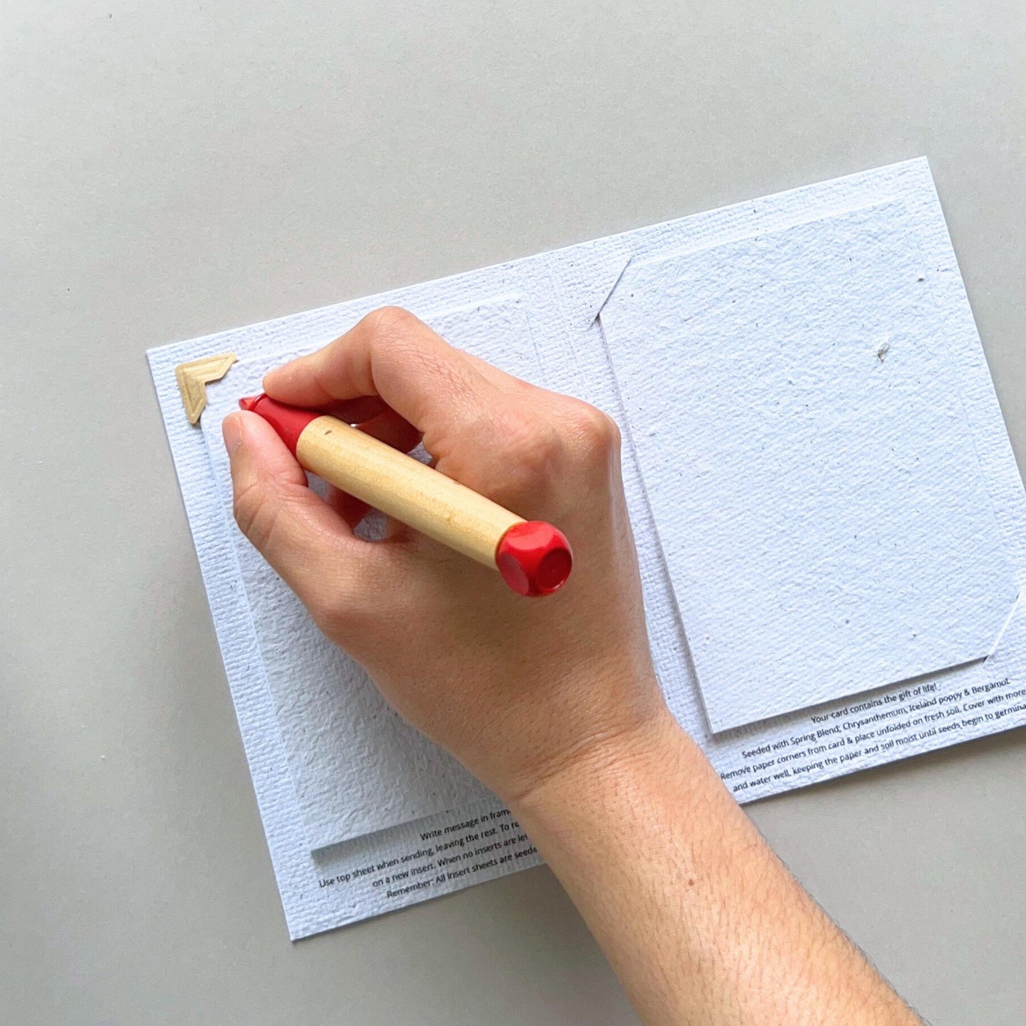 Ruru Bird Plantable and Reusable Greeting Card