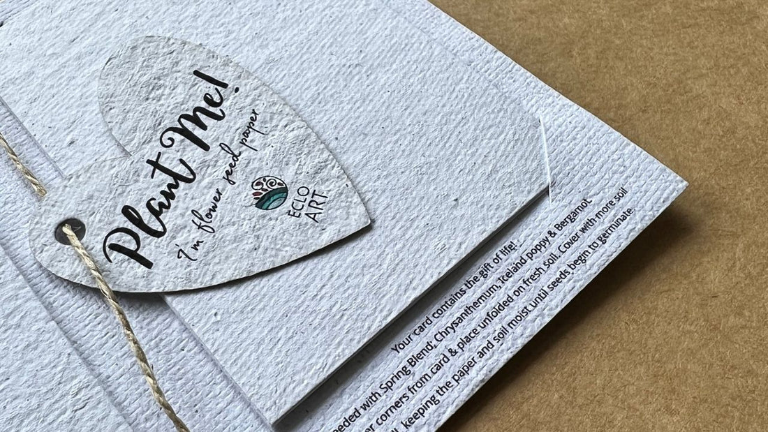 Sow the Seeds of Connection: Our Journey with the Plantable and Reusable Greeting Cards