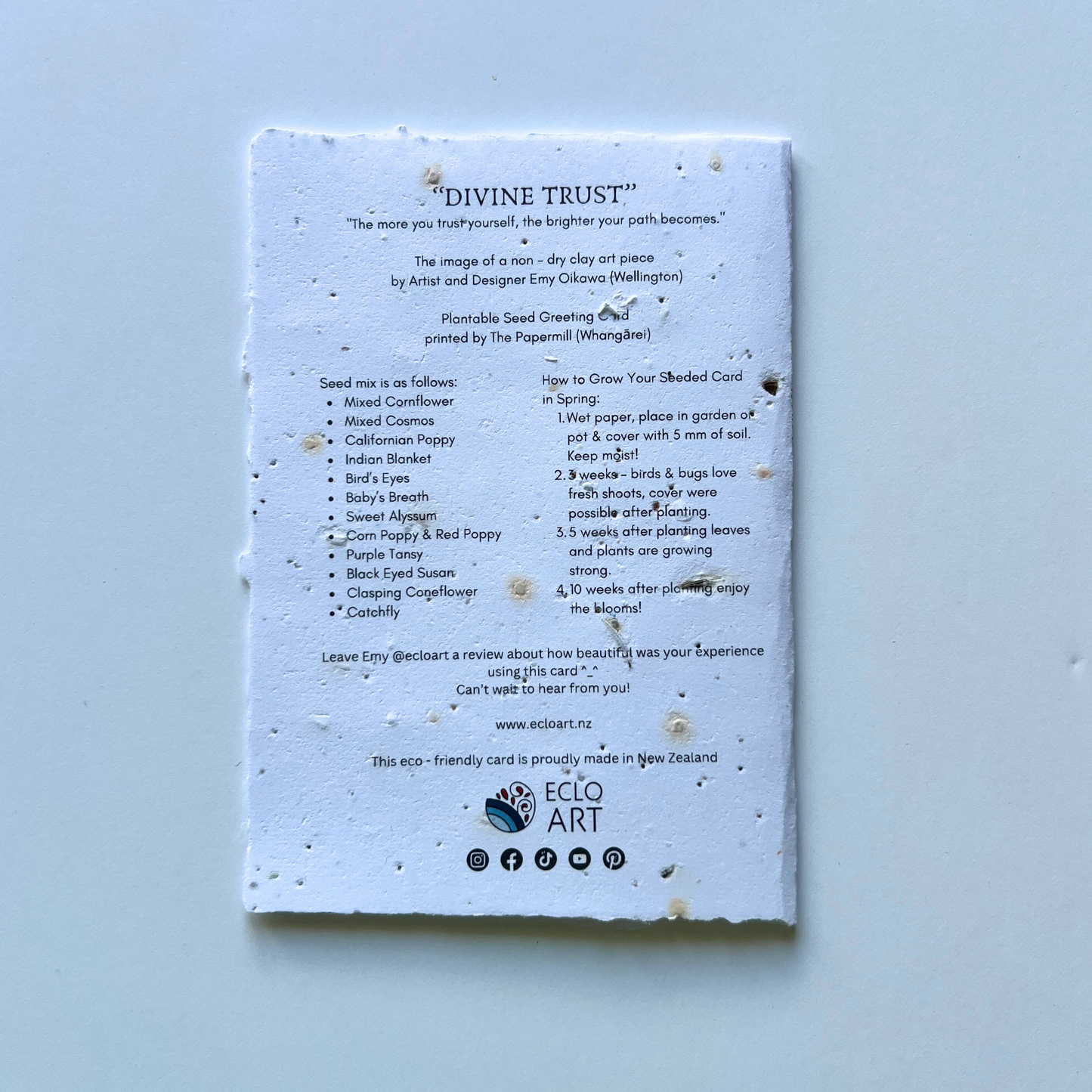 Divine Trust - Seed of Connection Plantable Greeting Card