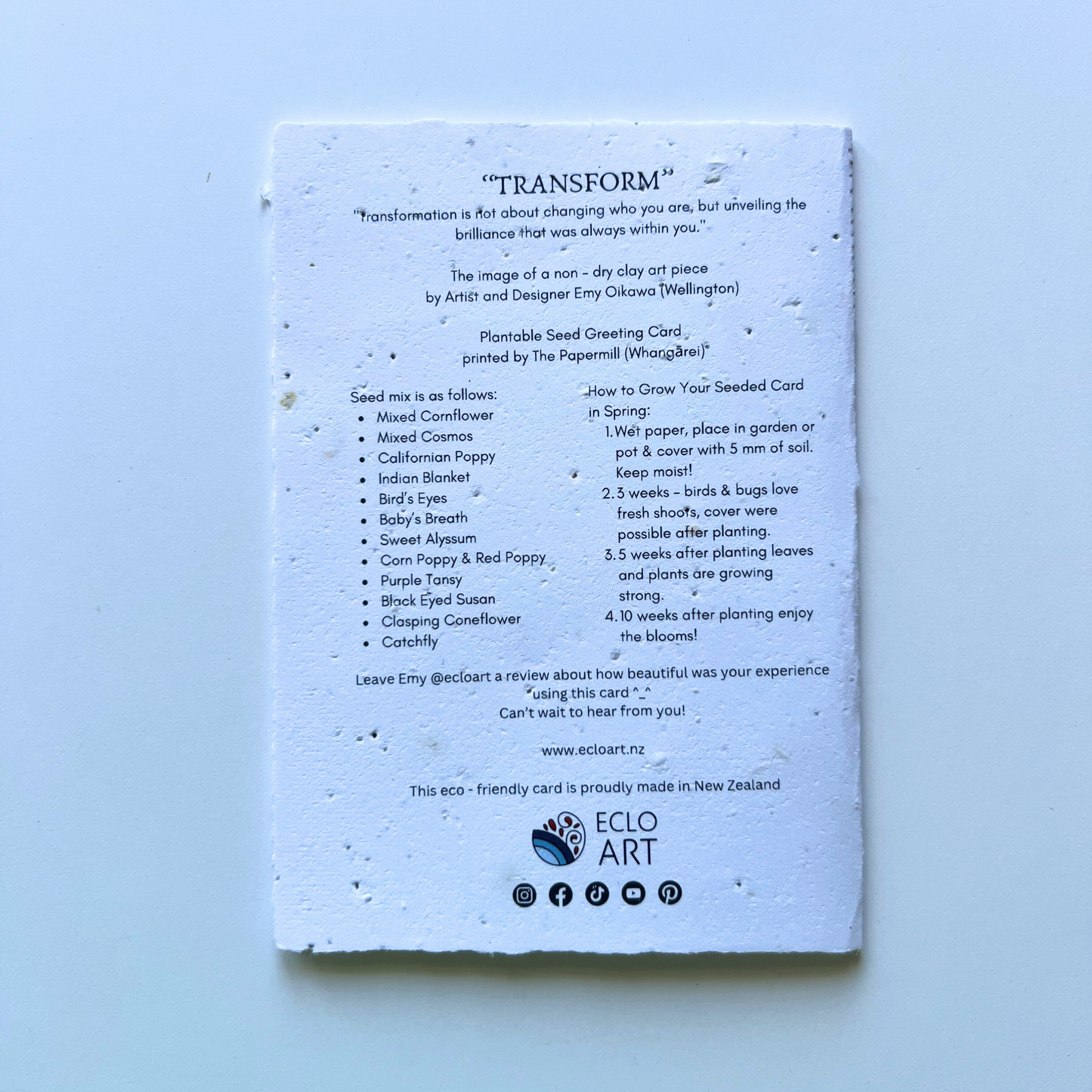 Transform - Seed of Connection Plantable Greeting Card