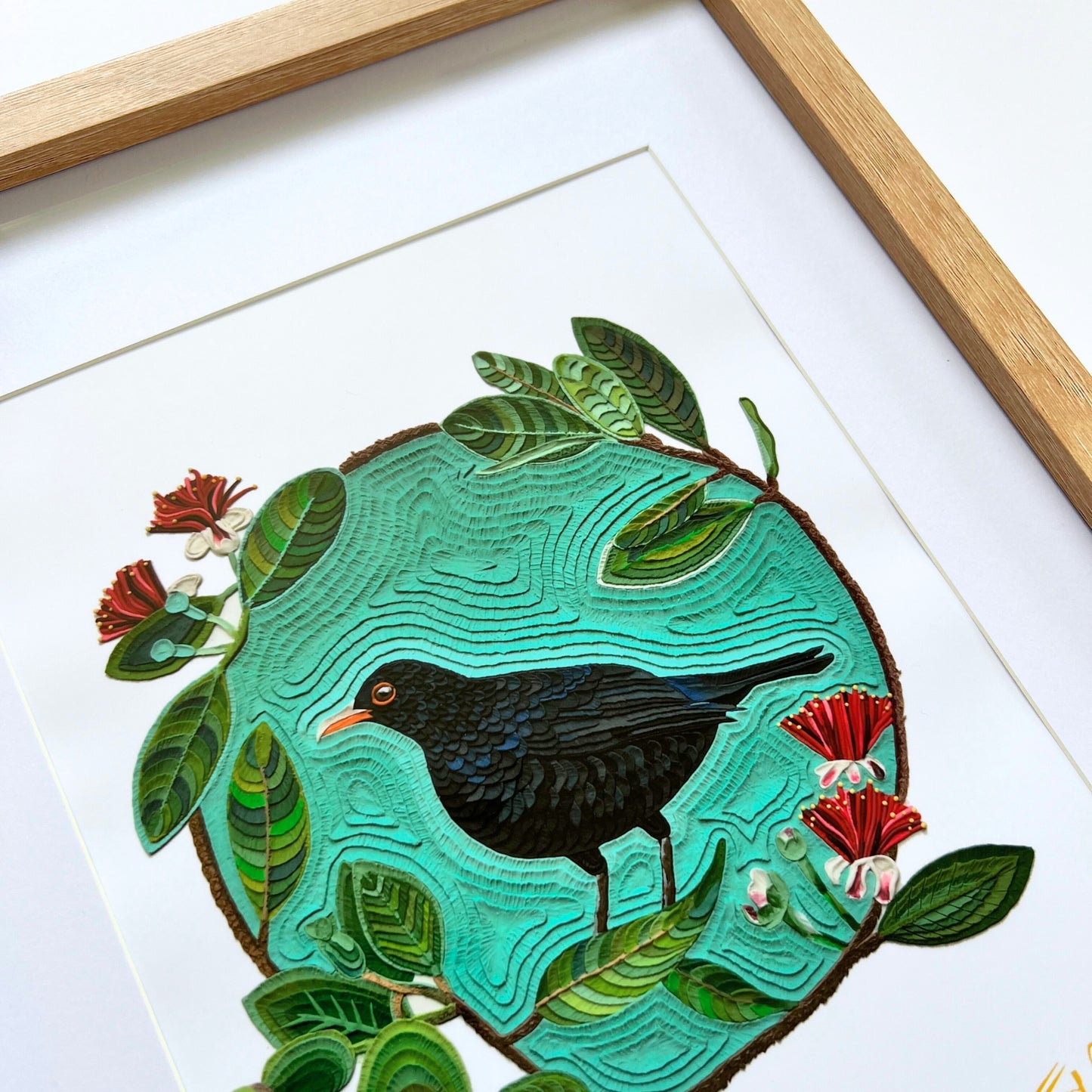 Eurasian Black Bird on a Feijoa Tree Framed Art Print