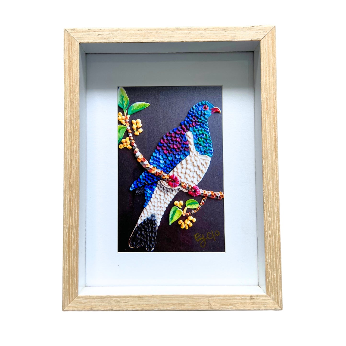 Kereru Bird Framed Print