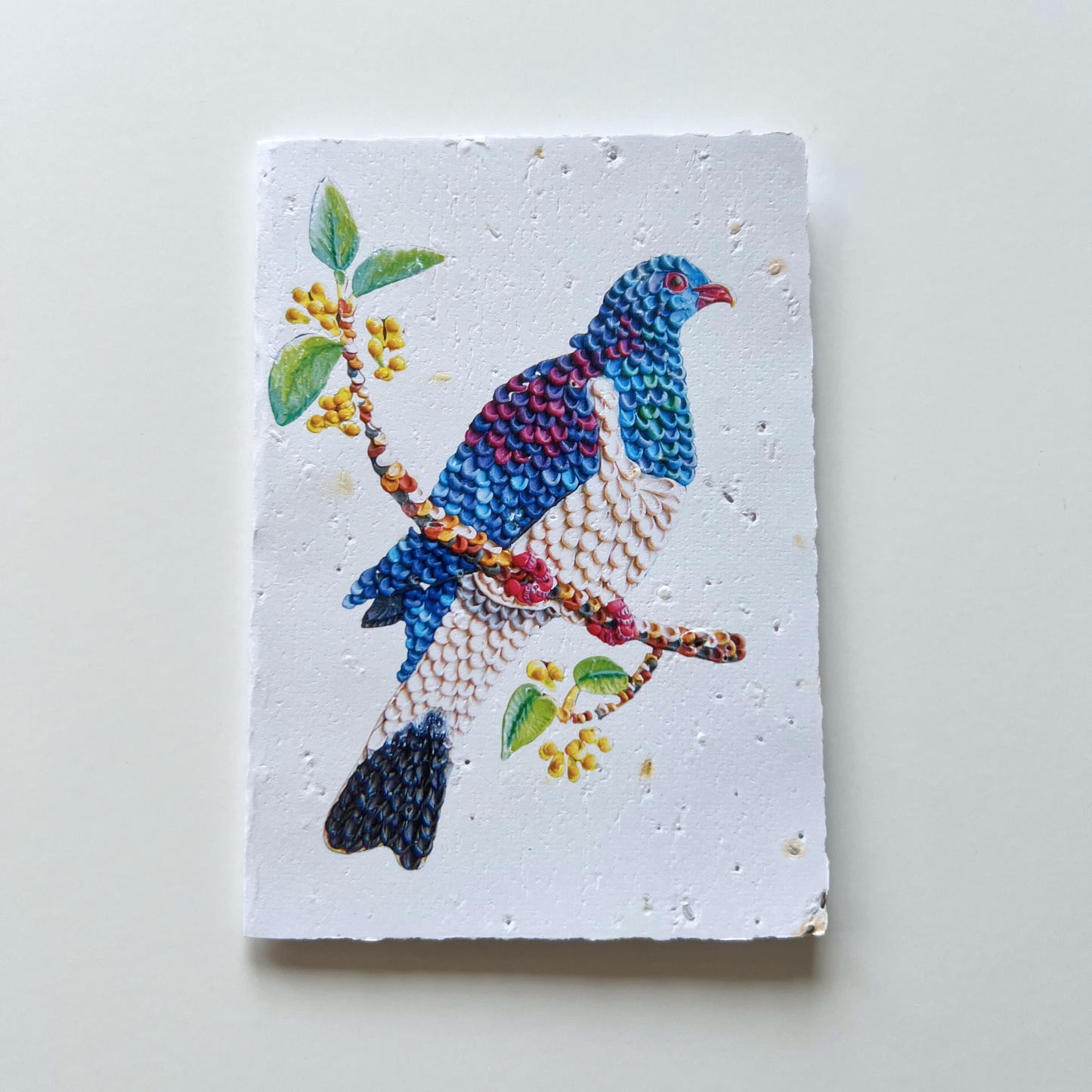Kererū Bird - Seed of Connection Plantable Greeting Card
