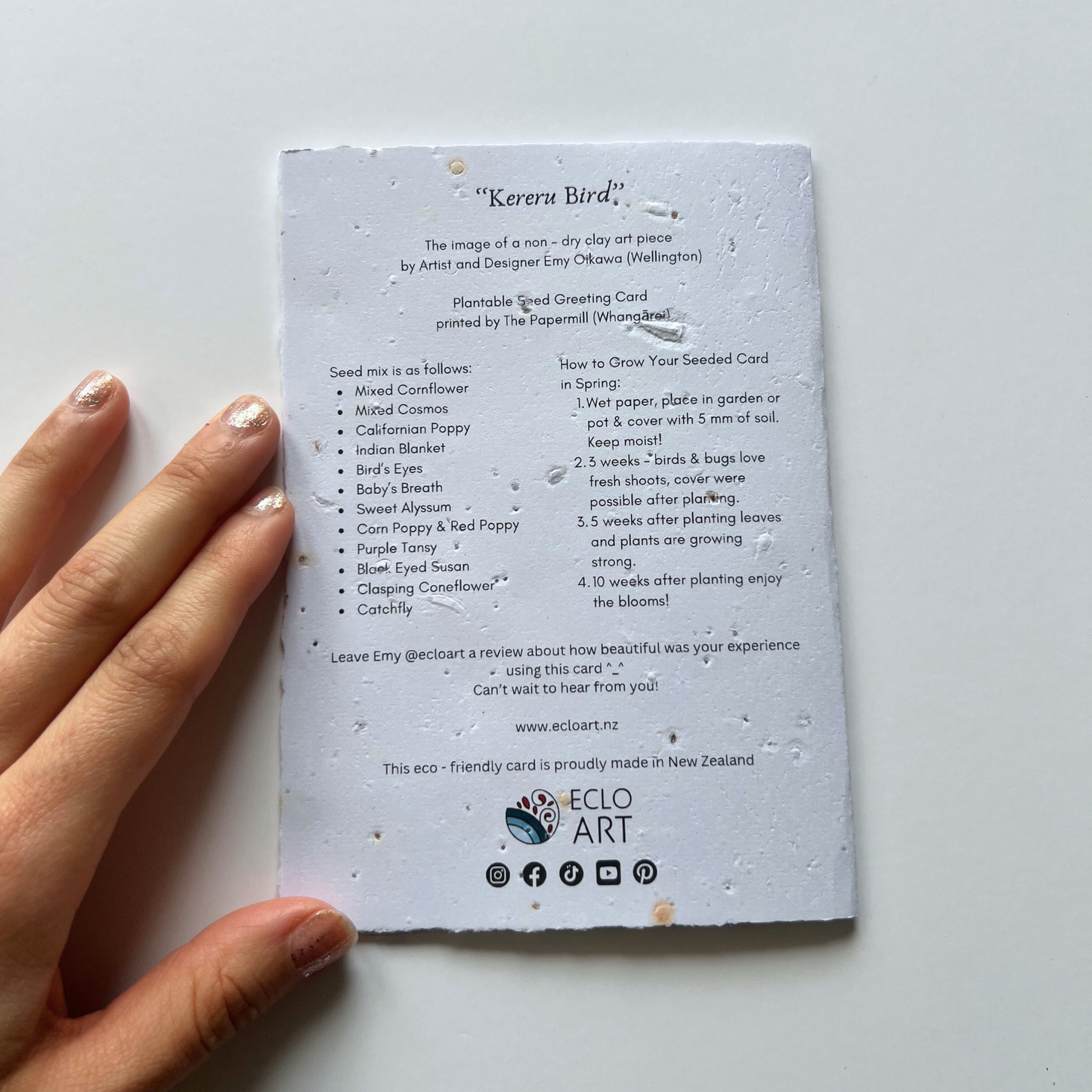 Kererū Bird - Seed of Connection Plantable Greeting Card