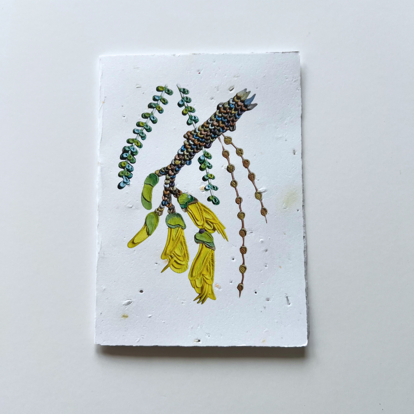 Kōwhai Flower Plantable and Reusable Greeting Card