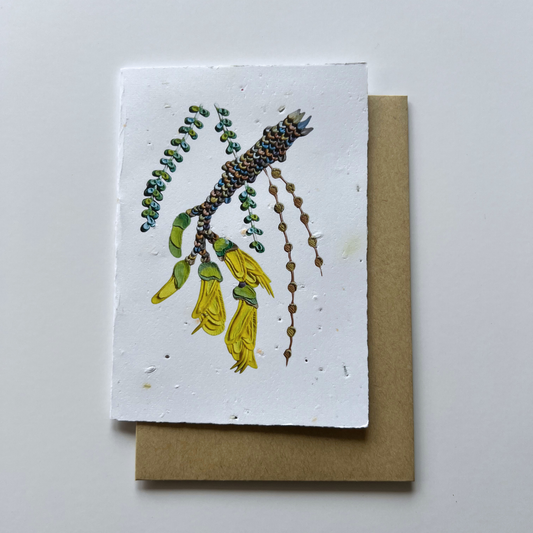 Kōwhai Flower Plantable and Reusable Greeting Card