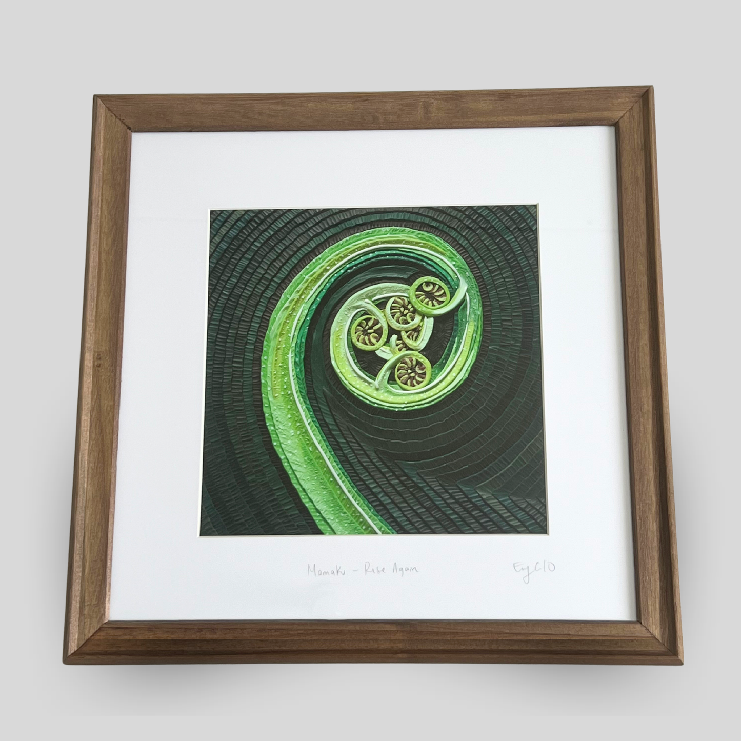 Mamaku - Rise Again Framed