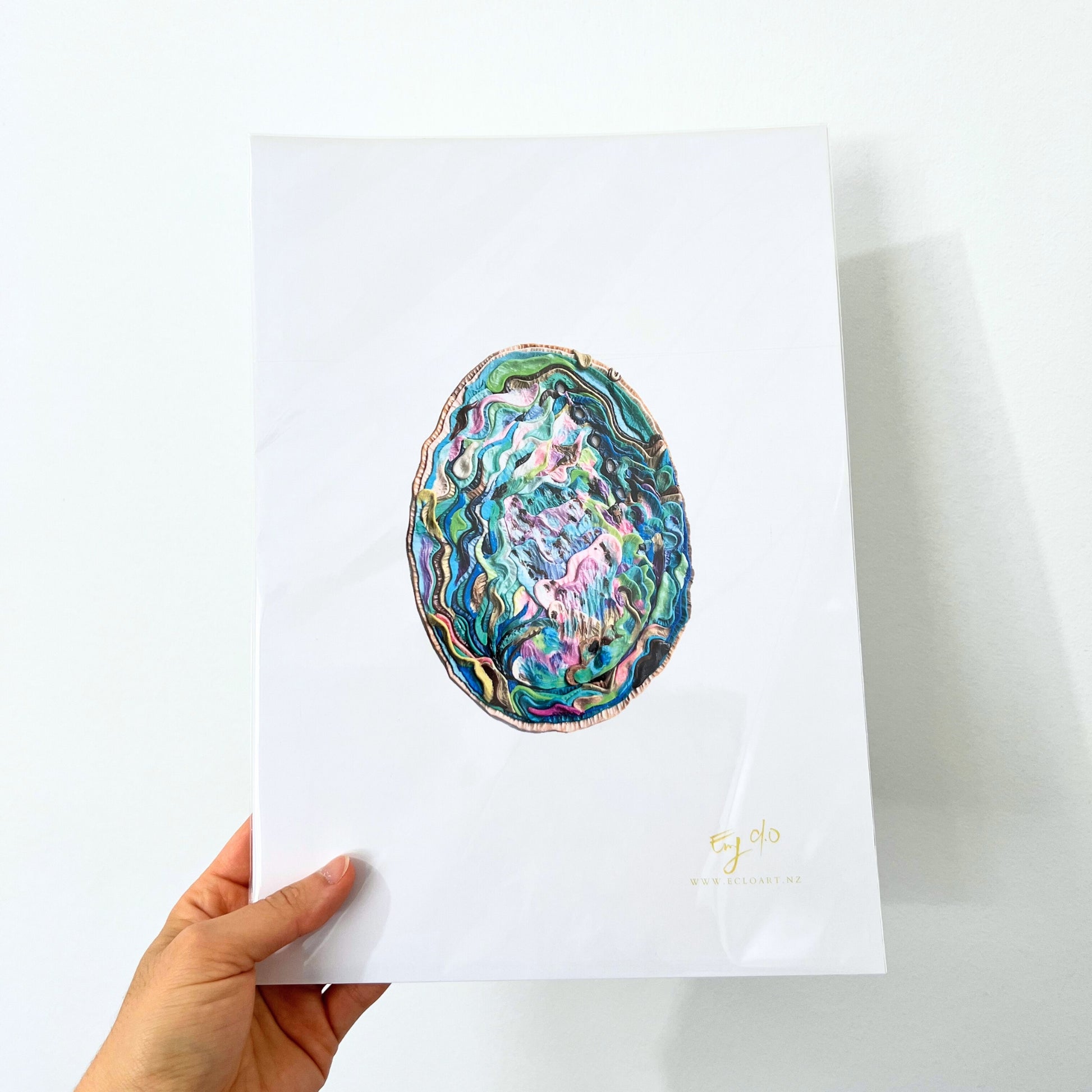 Paua Shell A4 Print – EcloArt