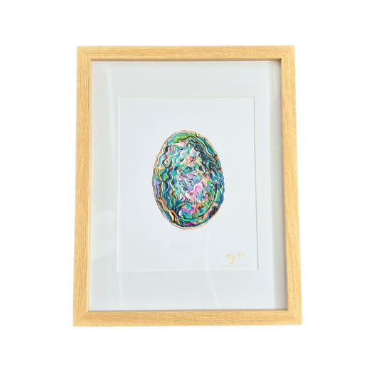Paua Shell Framed Art Print