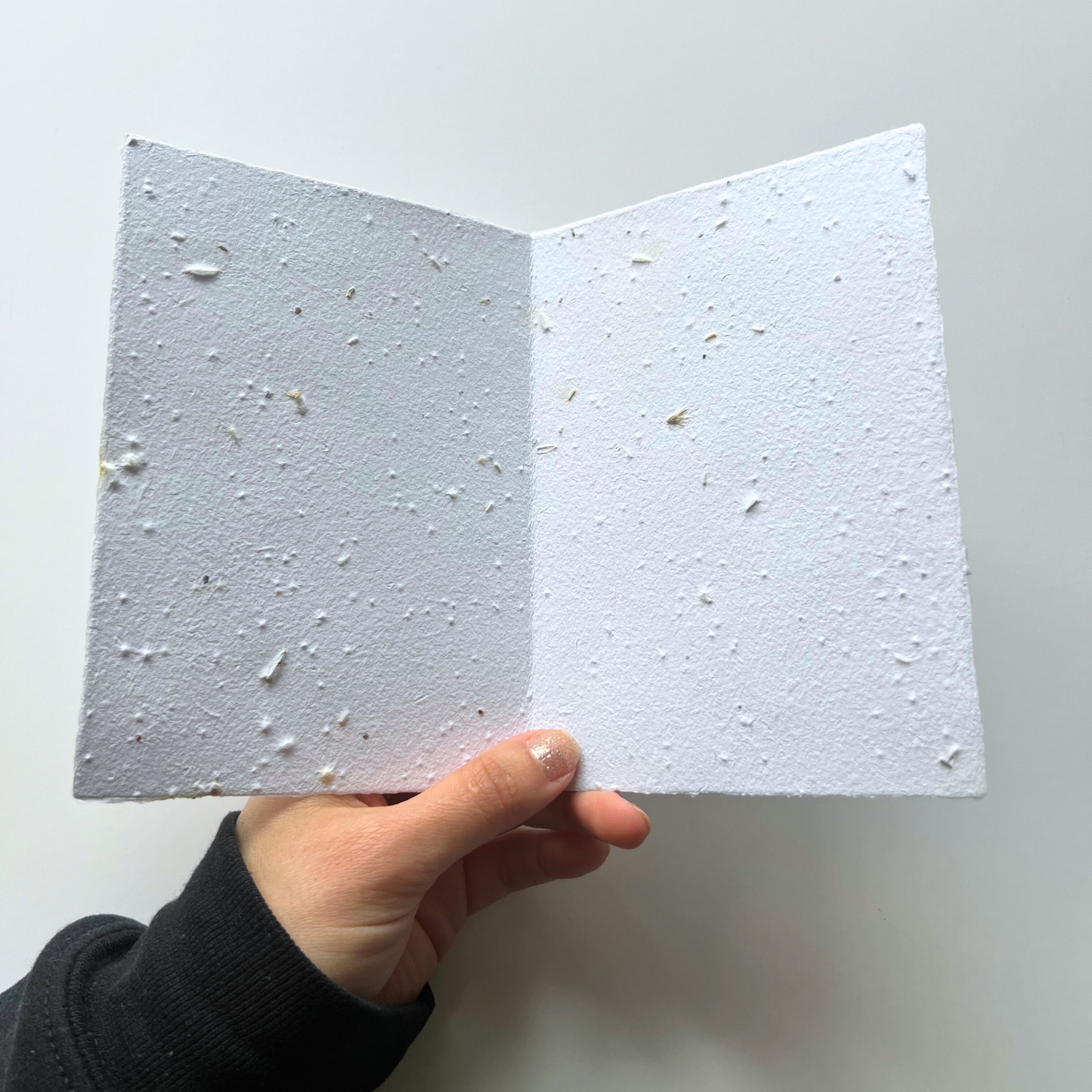 Ruru Bird - Seed of Connection Plantable Greeting Card