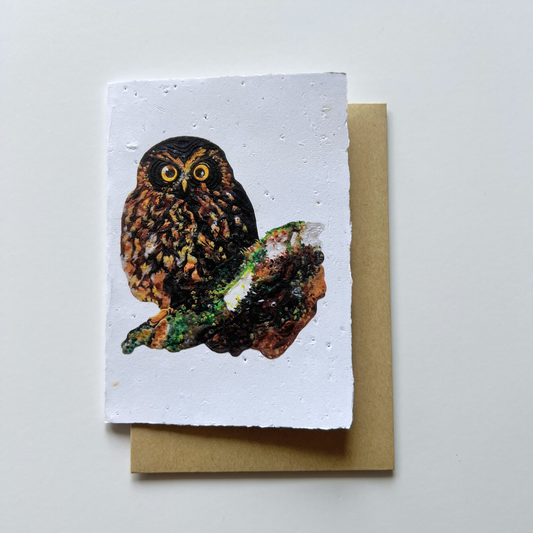 Ruru Bird - Seed of Connection Plantable Greeting Card