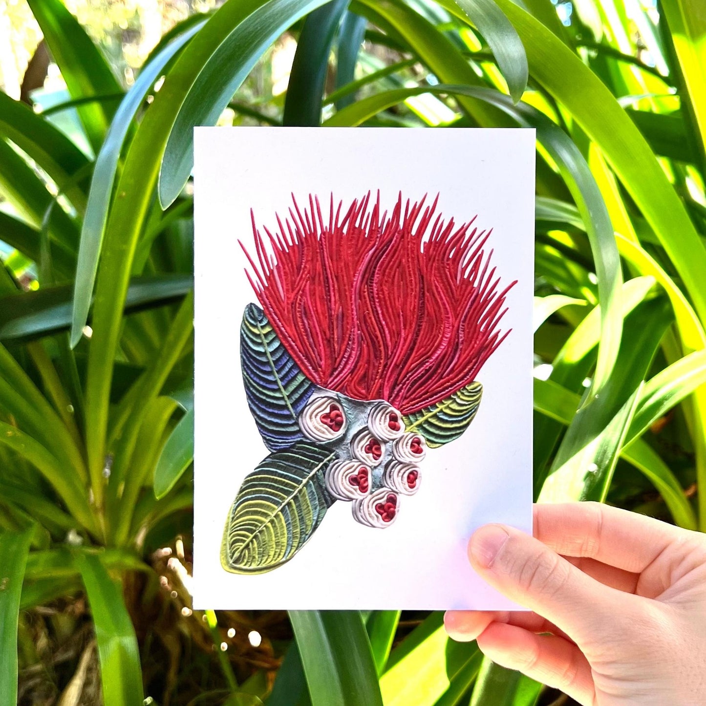 The Pohutukawa Flower Reusable Greeting Card