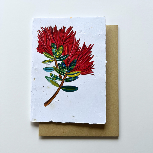 The Pōhutukawa Flowers - Seed of Connection Plantable Greeting Card