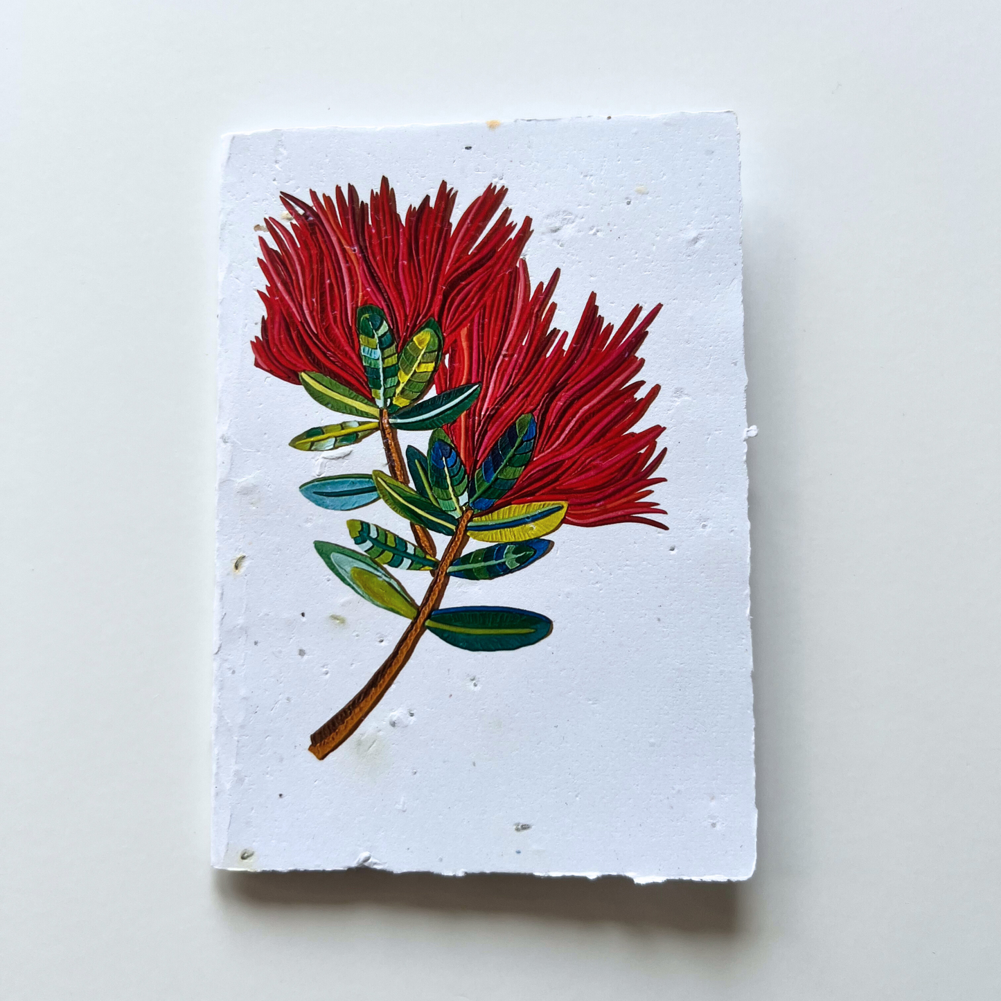 The Pōhutukawa Flowers - Seed of Connection Plantable Greeting Card