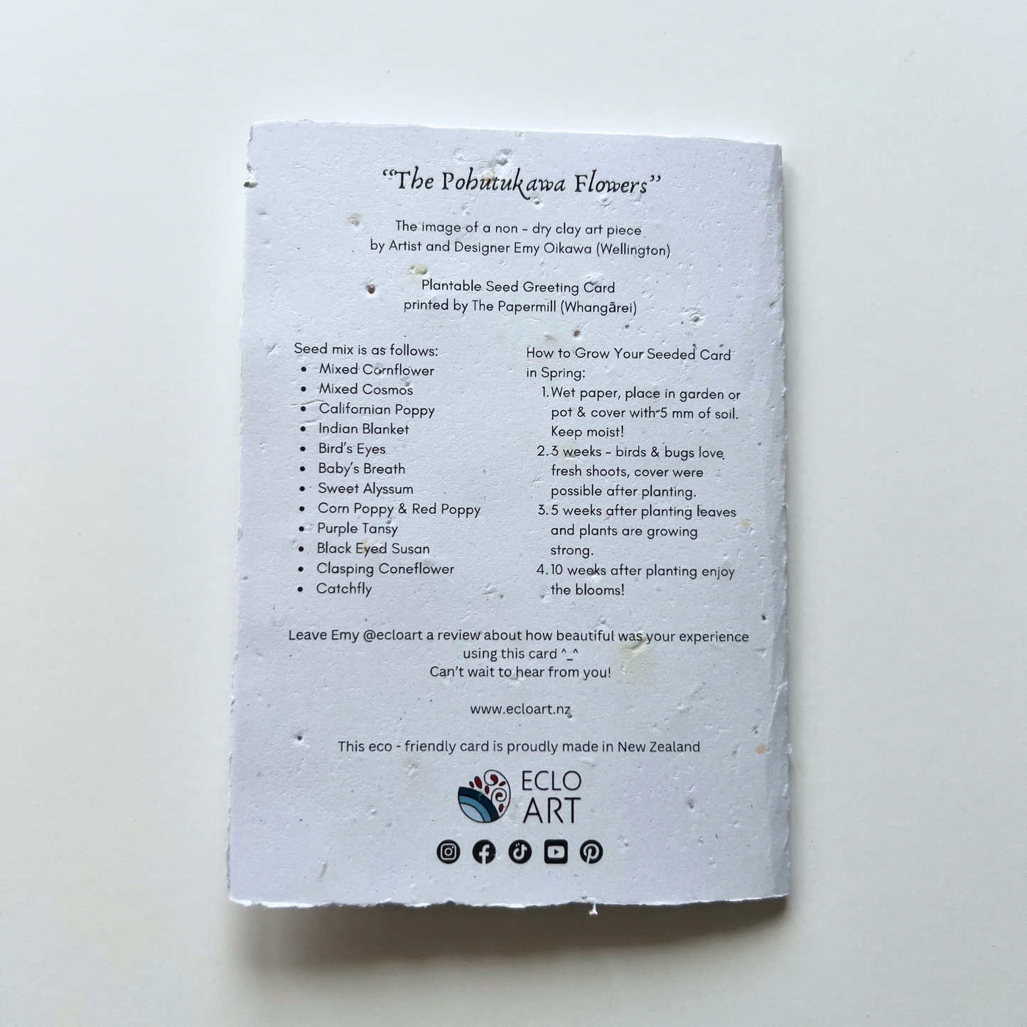 The Pōhutukawa Flowers - Seed of Connection Plantable Greeting Card