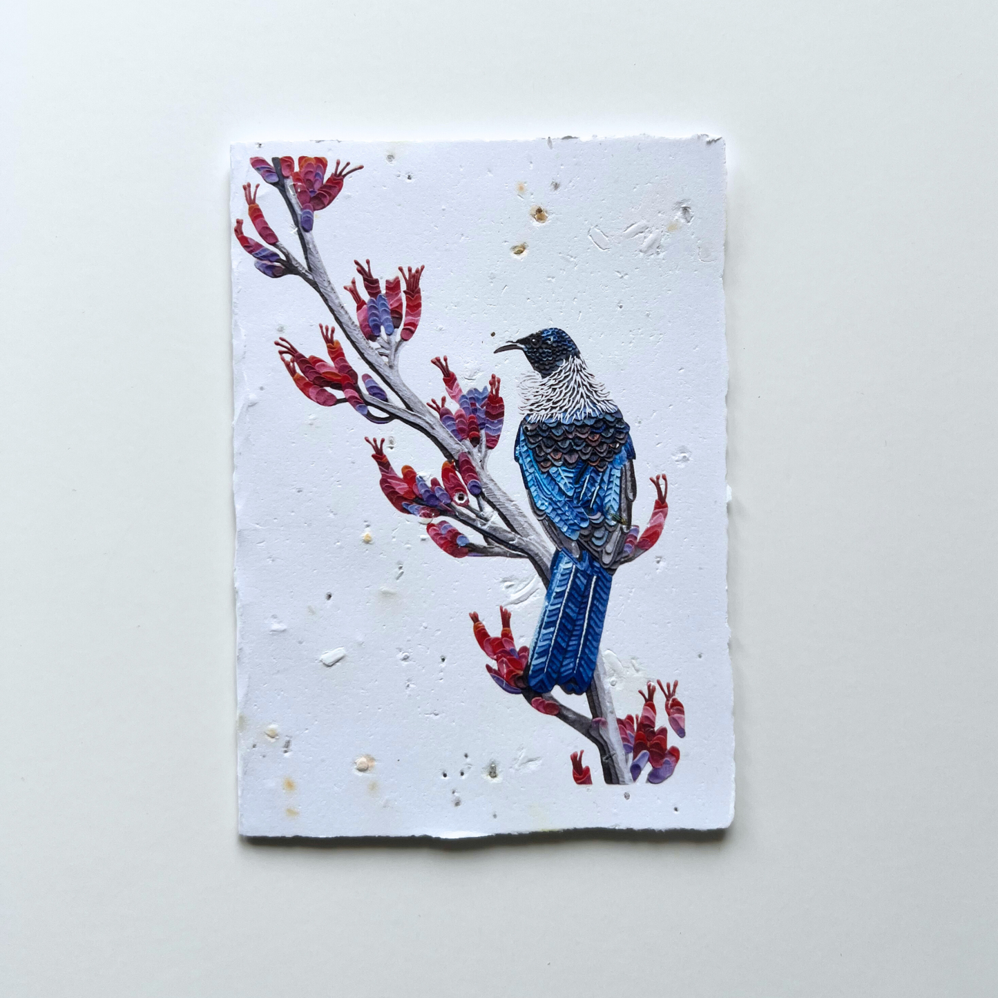 Tūī Bird Plantable and Reusable Greeting Card