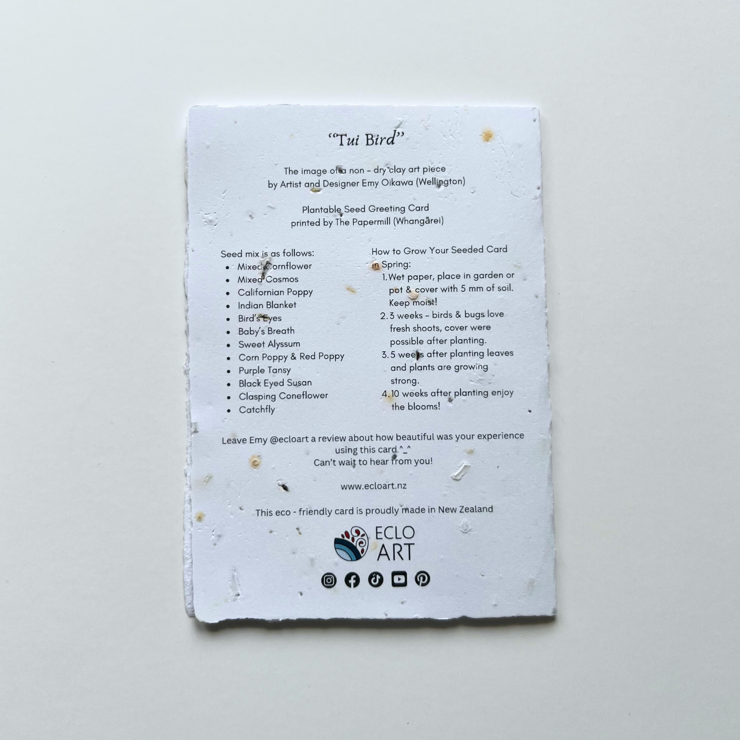 Tūī Bird Plantable and Reusable Greeting Card