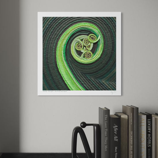 close up video of An art print featuring The Mamaku New Zealand Fern, a green spiral plant, originally made with plasticine clay, displayed on a light gray wall above a shelf with books and a black decorative object. Art by clay artist Emy Oikawa from Eclo Art. New Zealand nature.